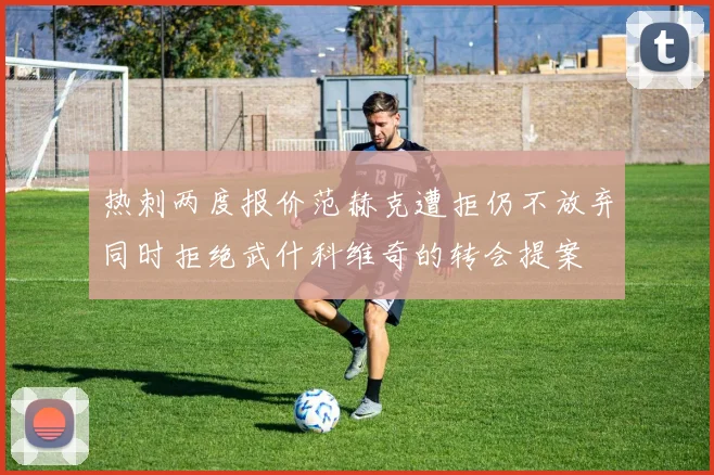 热刺两度报价范赫克遭拒仍不放弃同时拒绝武什科维奇的转会提案